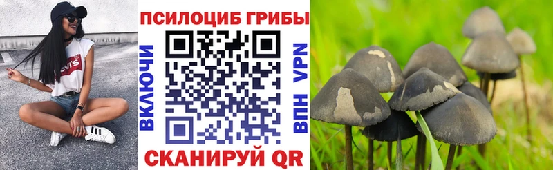где продают наркотики  Коряжма  Галлюциногенные грибы прущие грибы 