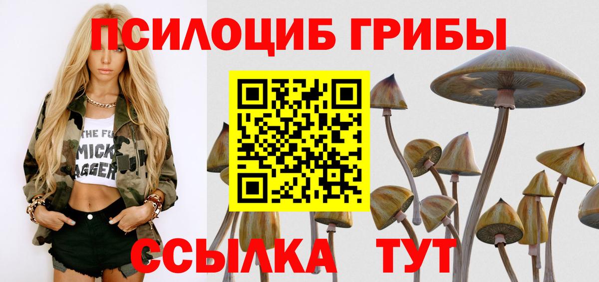 Галлюциногенные грибы мицелий  Галлюциногенные грибы GOLDEN TEACHER  Вход с VPN  Коряжма 